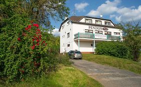 Penzion Hády